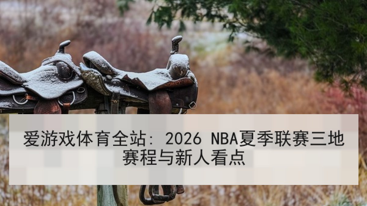 爱游戏体育全站: 2026 NBA夏季联赛三地赛程与新人看点