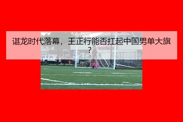 chen-long-shi-dai-luo-mu-wang-zheng-xing-neng-fou-kang-qi-zhong-guo-nan-dan-da-qi-3-754.jpg