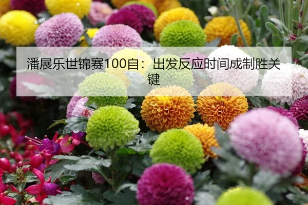 潘展乐世锦赛100自：出发反应时间成制胜关键