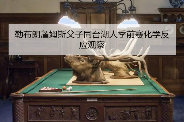 lei-bu-lang-zhan-mu-si-fu-zi-tong-tai-hu-ren-ji-qian-sai-hua-xue-fan-ying-guan-cha-3-730.jpg